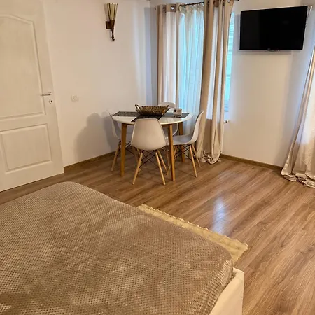 Old Apartment Brasov