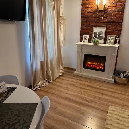 Old Apartment Brasov